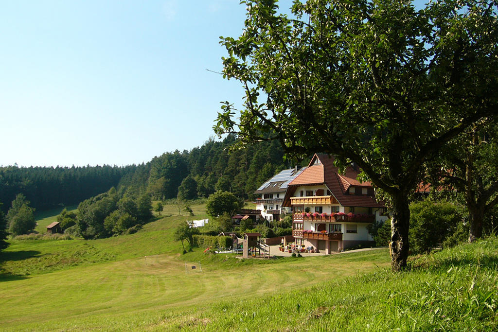 Villa Schlosshof - Der Urlaubsbauernhof à Elzach Extérieur photo